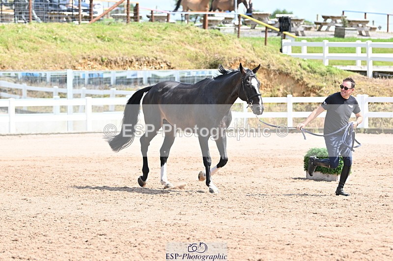 240717A-151419-02668 - Trot Up 3pm to 4pm