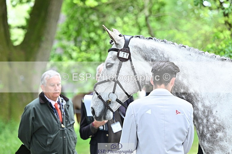 250521A-152450-00493 - B-311-Barnie.Brotherton-WHIXLEY.QUALITAS