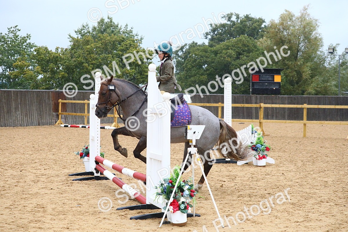 SBM_71491 - J4 - Mini Tour Junior Pony 45cm Championship
