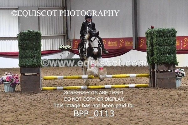 BPP_0113 - CLASS 2 40CM