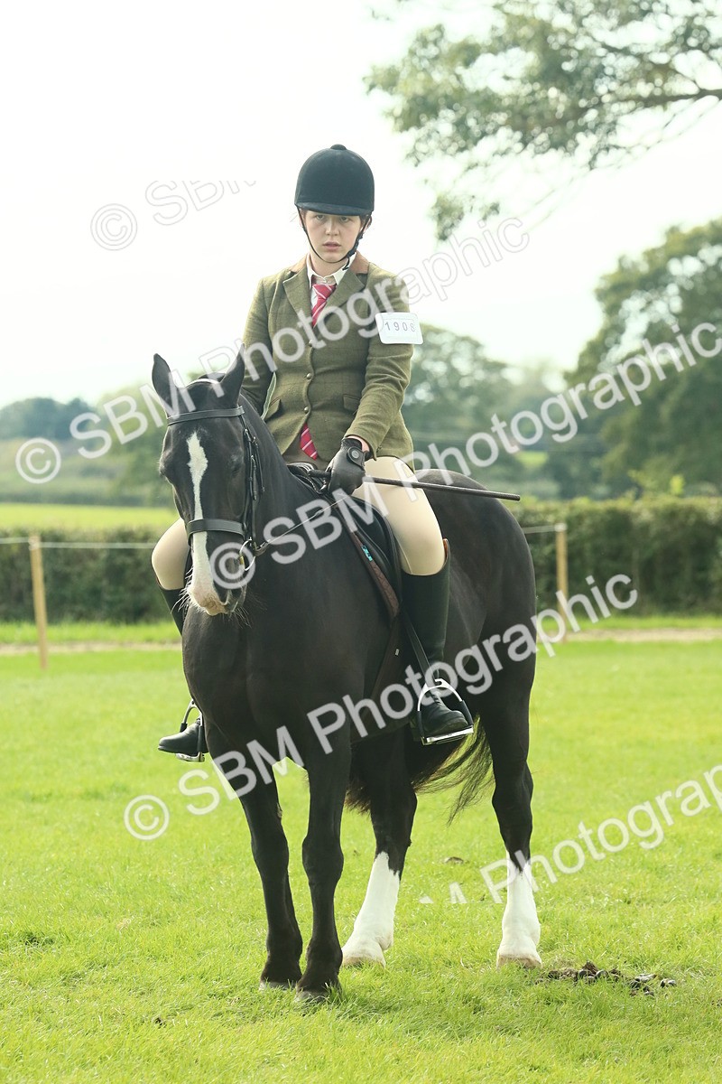 SBM_68226 - S58 - Mini Show Cob Ridden