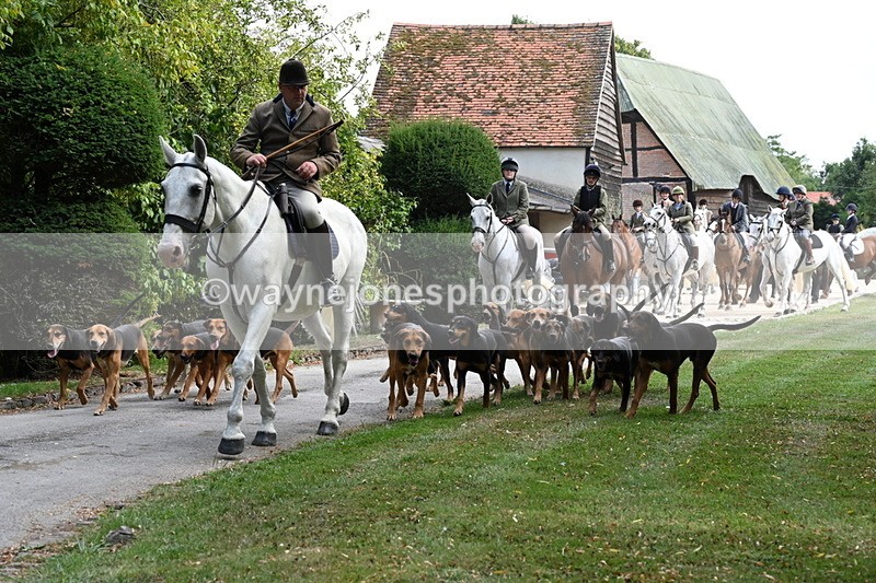 WJ6_3929 - Berks & Bucks - The Old farmhouse - Hound Exercise 20-08-25