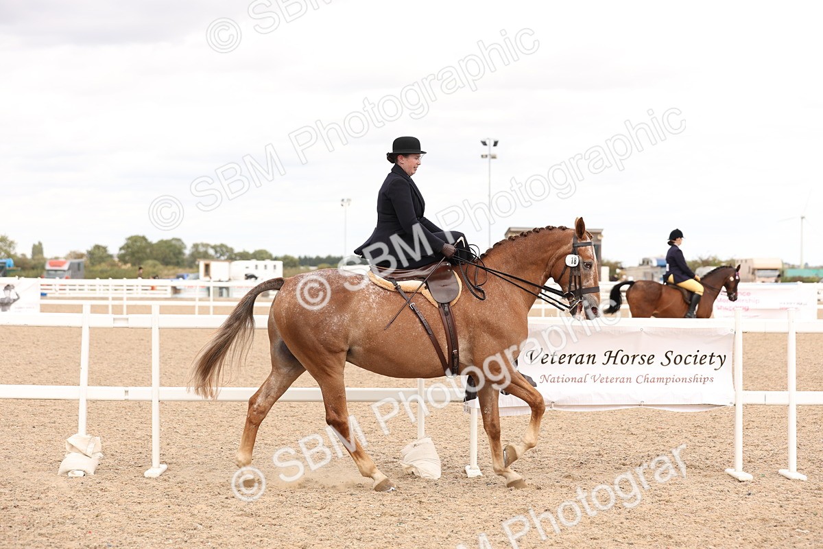 SBM_16395 - Class 211 - Best Side Saddle Horse - Pony