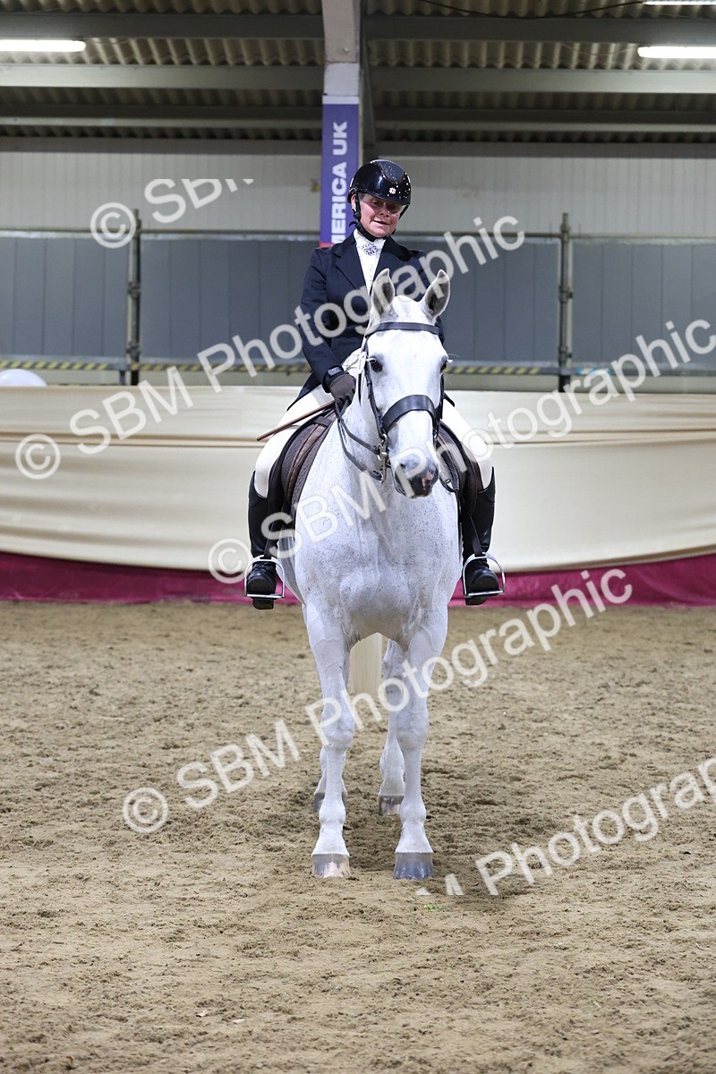 SBM_21184 - class Q - Ridden Horse Champ