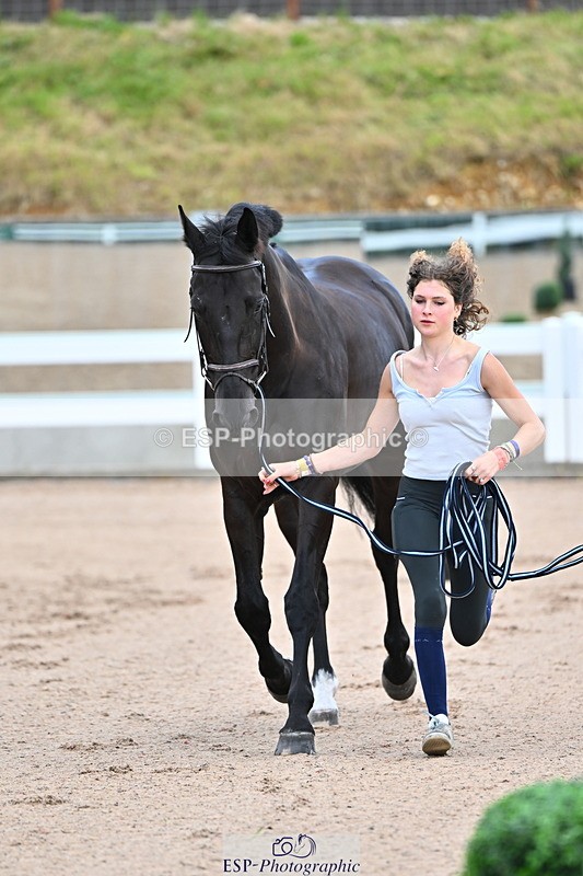 240718A-105325-01969 - Trot Up 2pm to 3pm - This folder is not in time order