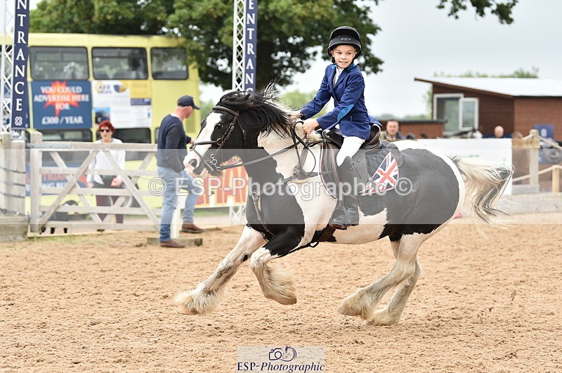 230902A-114648-00837 - Cls 2B Pony Small 80cm