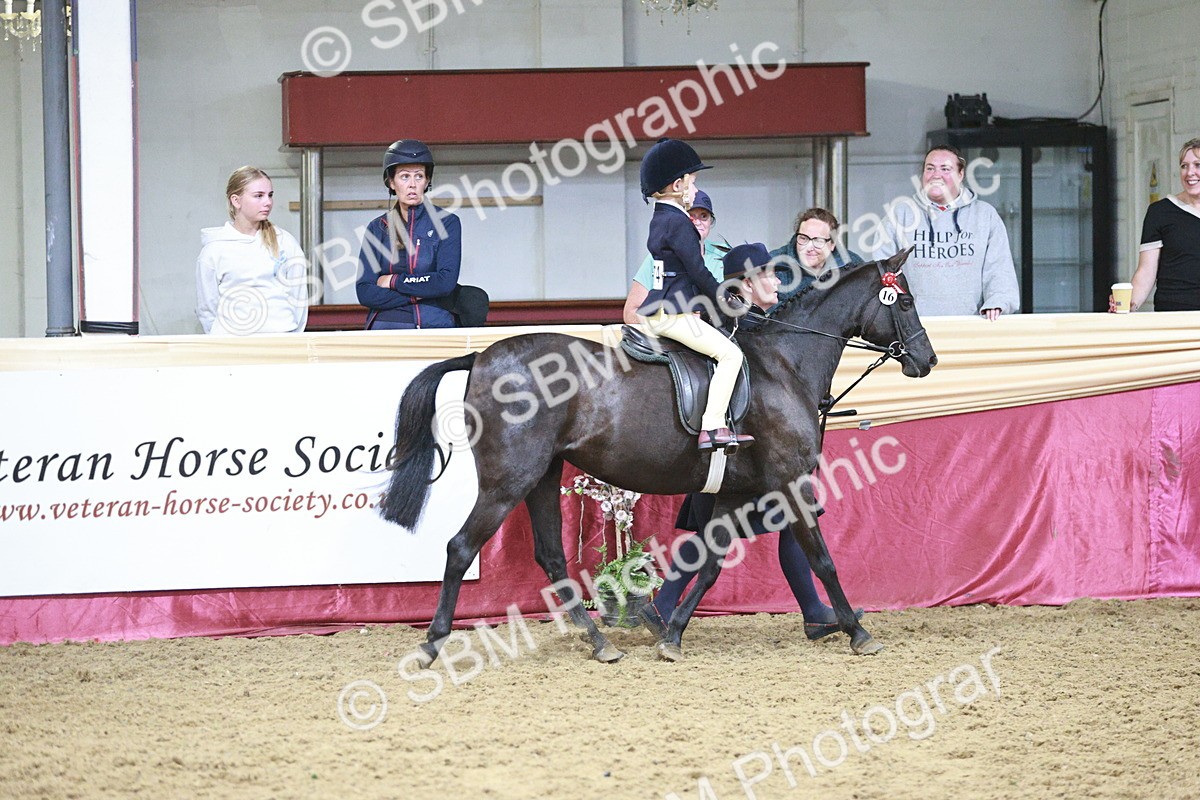 SBM_03350 - Class 6A Area Ridden Pre-Vet