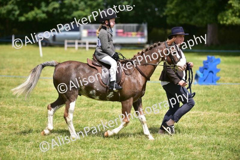 20260614-1364 - Class 11b - Lead Rein Pony (Plaited)