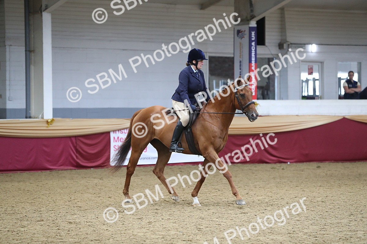 SBM_12357 - Class 108 Ridden Retired Racehorse- Pre Judging