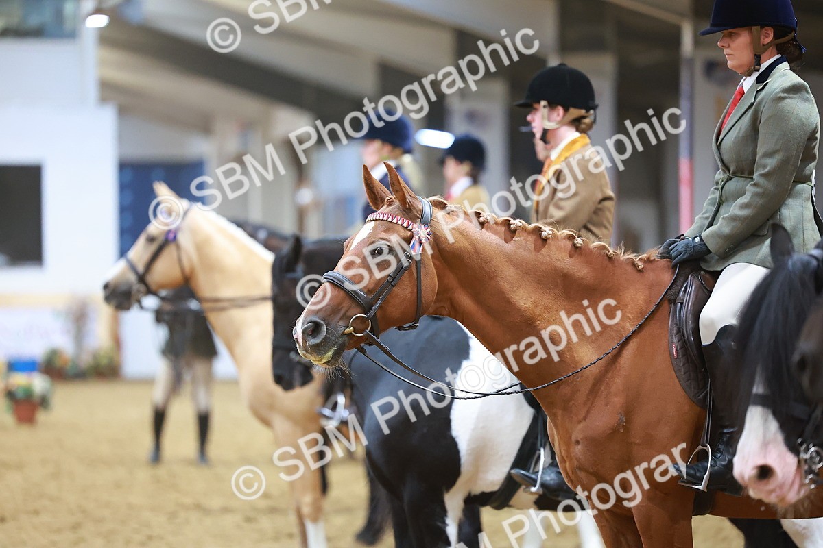 SBM_09686 - Class 102 - HOYS Veteran Qualifier - Ridden Veteran