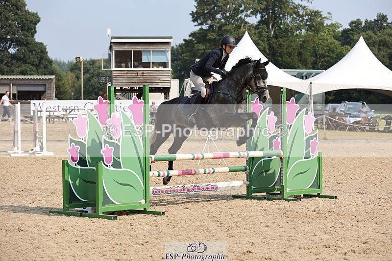 250816A-103631-00774 - Cls 3 Snr British Novice