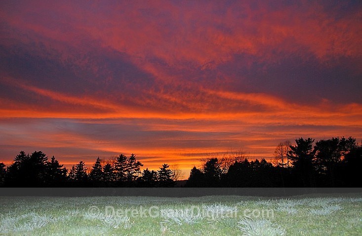 Summer Sunset - Sunset/Moonrise