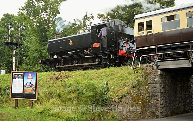 8th Aug 2019 - South Devon Railway, Buckfastleigh to Totnes, Devon