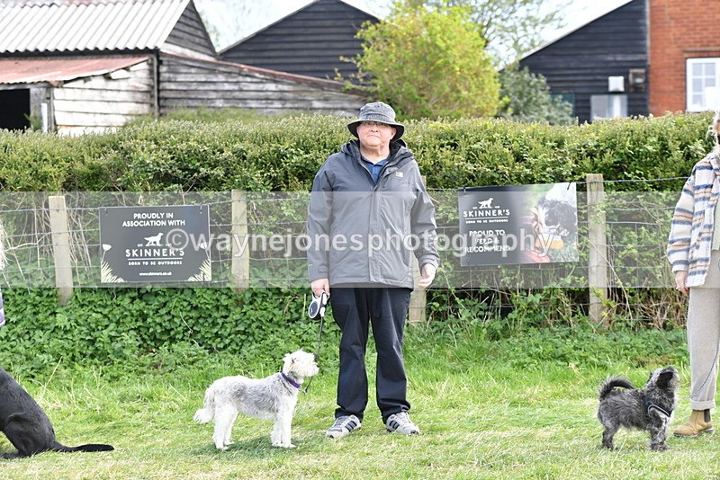 WJ5_0685 - Best in Show Championship