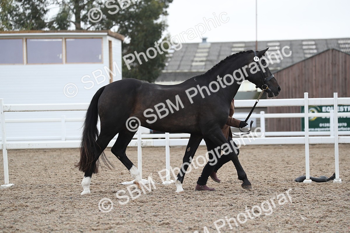 SBM_22515 - Class 604 - 2025 Area - IH Diamond