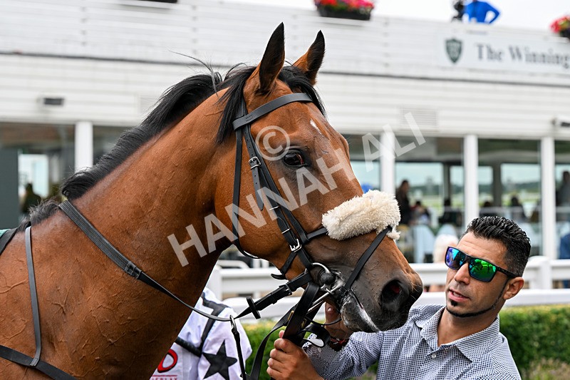 170826-Race 2-Harrys Pop-9291 - Race 2 14.45pm Well-Earned Retirement Neal Kidd Nursery Handicap