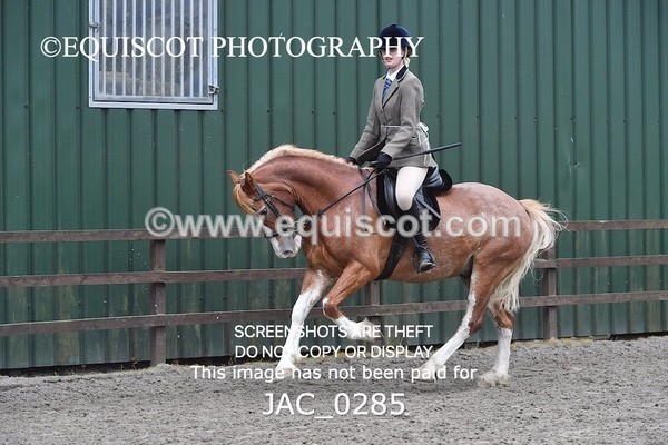 JAC_0285 - CLASS 4 BSPS Scone Palace HT Training Stakes Series (0.60m
