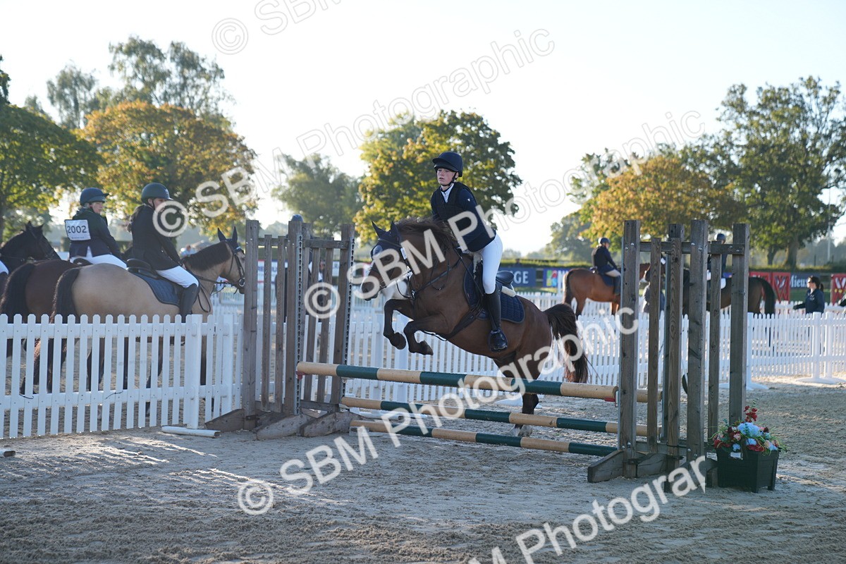 SBM_13938 - J59 - Clear Round - 65cm