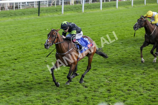 240824-Race 4-Magical Zoe-9140 - Race 4 3.35pm Sky Bet Ebor Handicap
