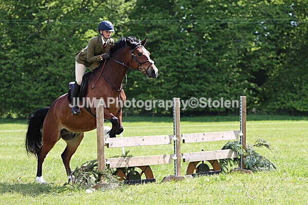 IMG_4231 - Working Hunter