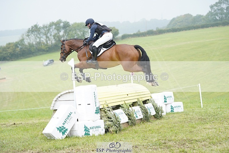 240901A-124152-08700 - 308-Tommy.Greengard-MBF.GOOGLE