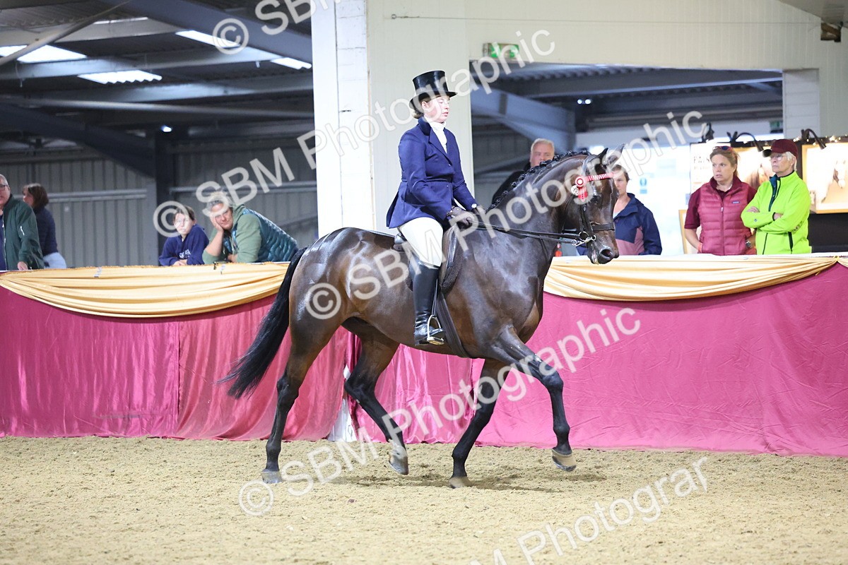 SBM_19081 - Class H Foreign Breeds Champ