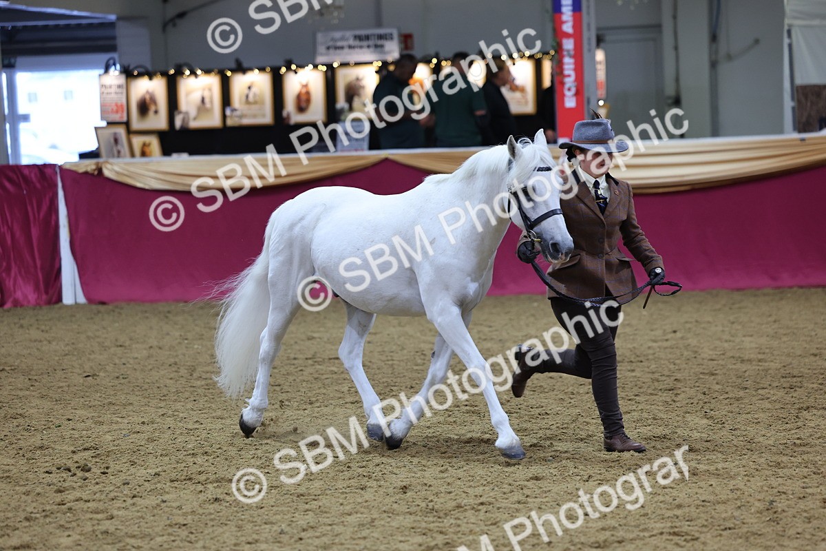 SBM_19530 - Class 901 - Supreme Final - IH Diamond