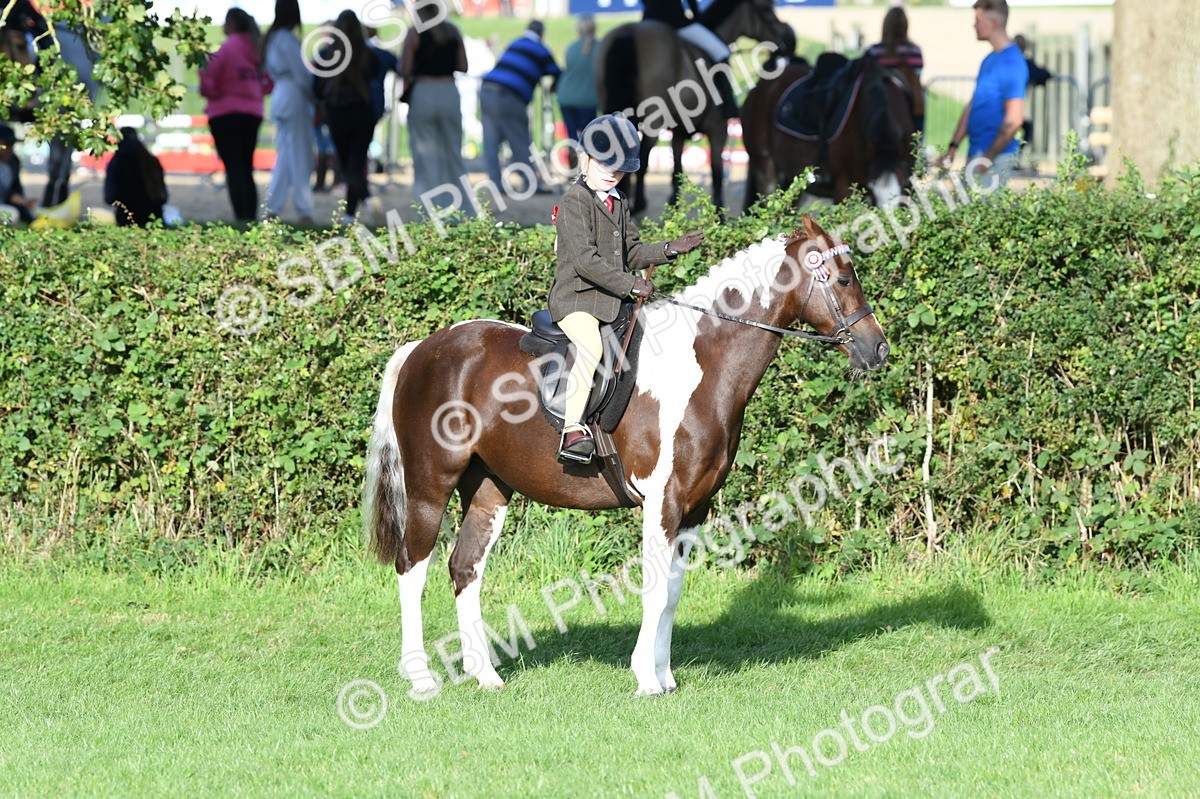 SBM_52411 - S22 - 1st Ridden Show & Show Hunter Pony