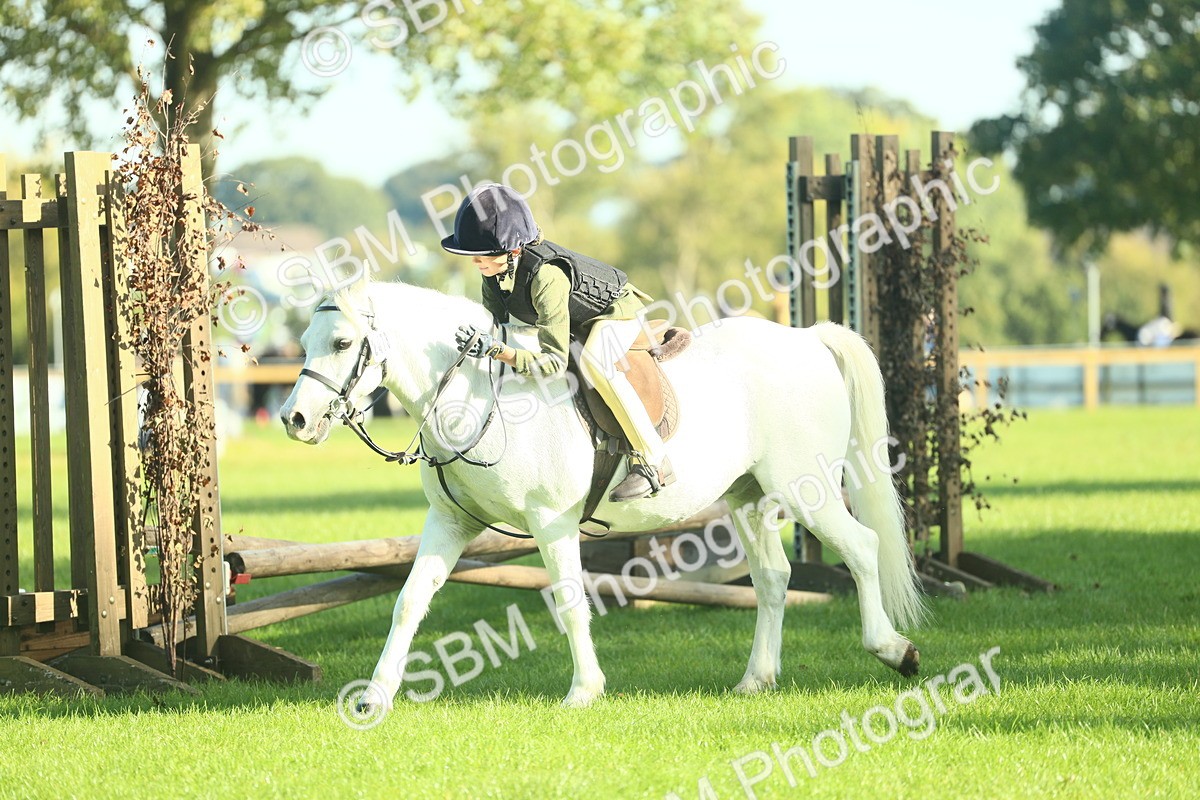 SBM_36392 - S29 - Novice & Newcomers Working Hunter Pony