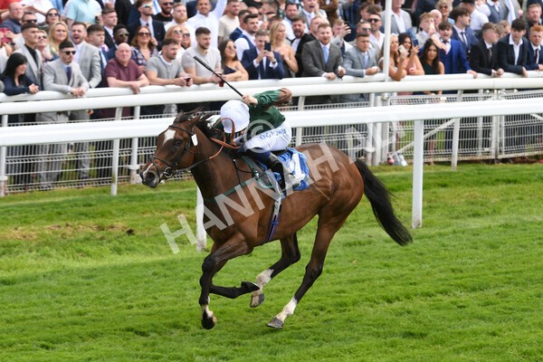 yr21052022r2-30 - Race 2: 2:20pm William Hill Bet Boost Stakes
