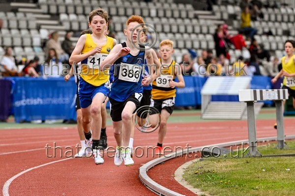 Age25SUN-921135 - Field Male