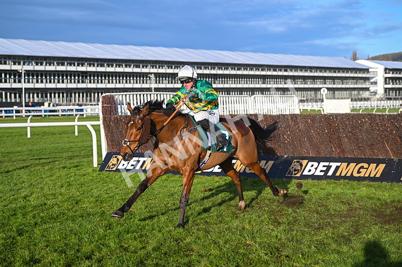 141224-Race 4-In Excelsis Deo-1870 - Race 4