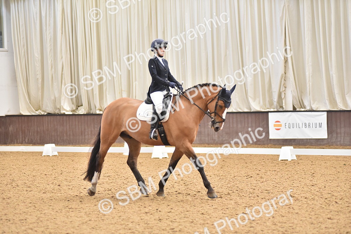 SBM_011008 - Class 8 - Novice 5