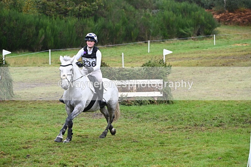 WJ6_2372 - 80cm Cam 1 Time 11:23 to 12:04