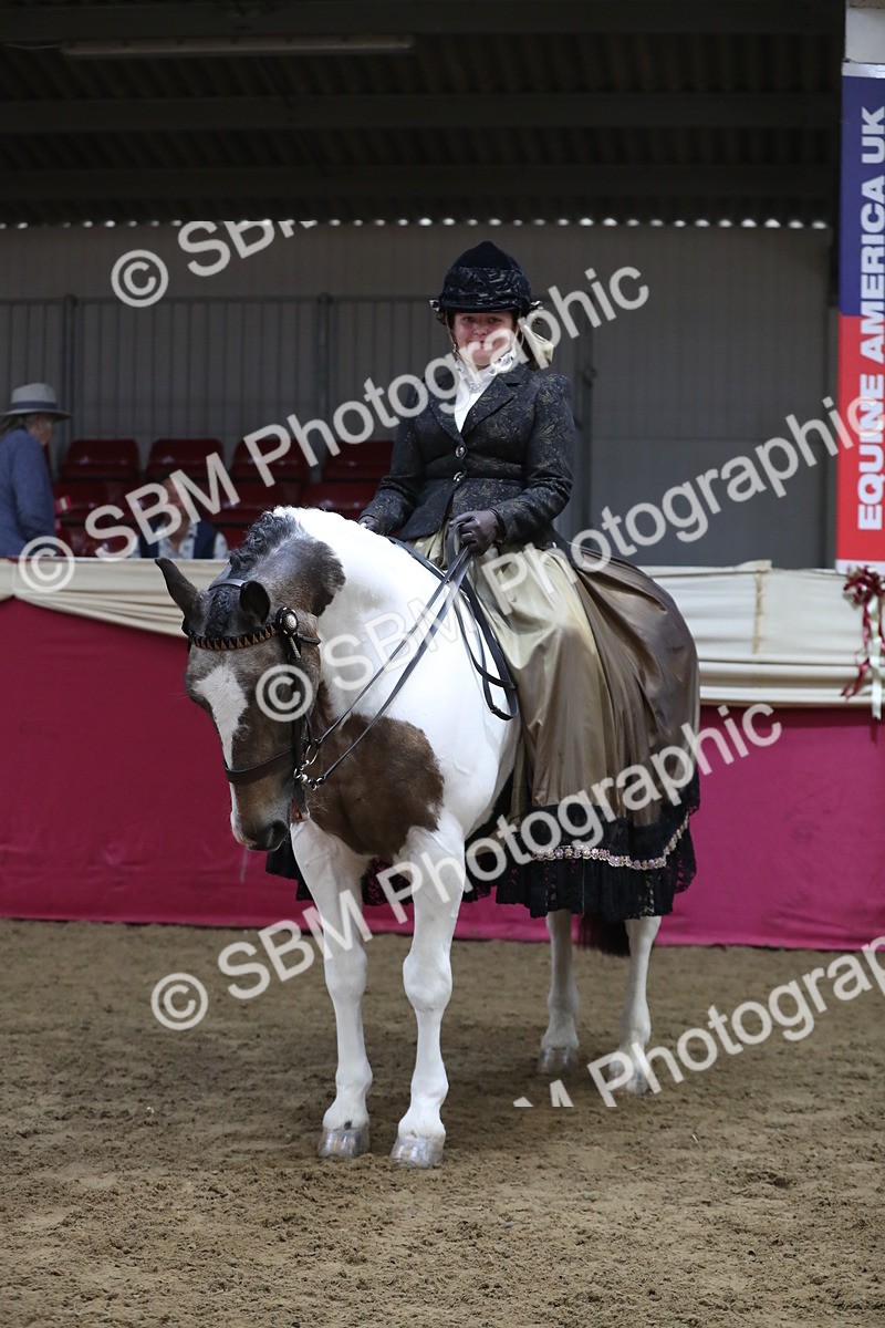 SBM_11284 - Class 104 Ridden Costume - Astride Junior