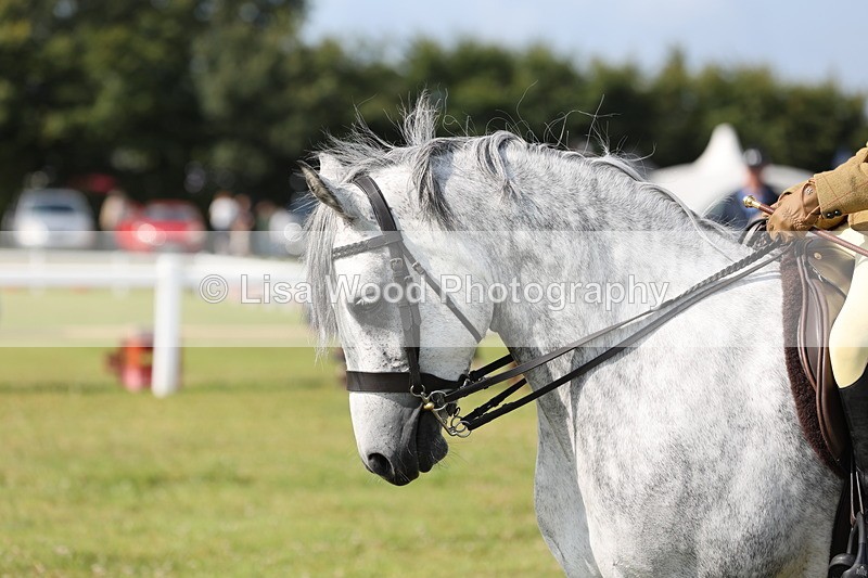 JPP_0758 - Class 16: Cornish Combination Young Rider