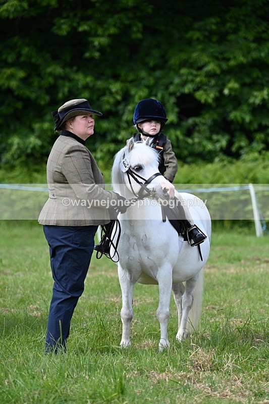 WJ7_0799 - Class 8 First Rally Pony