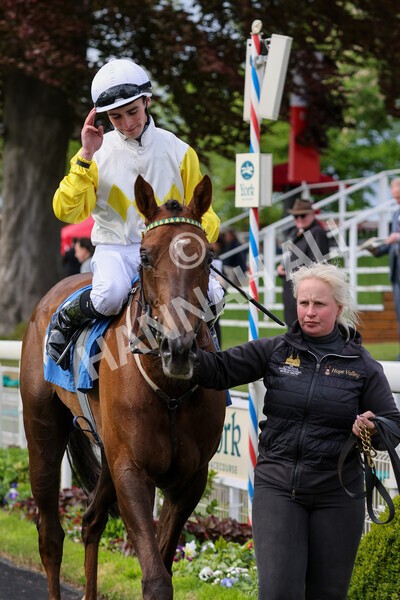 yr11052022r6-29 - Race 6 4.45pm Conundrum HR Consulting Stakes
