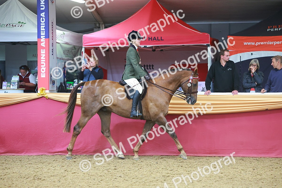 SBM_09615 - Class 102 - HOYS Veteran Qualifier - Ridden Veteran