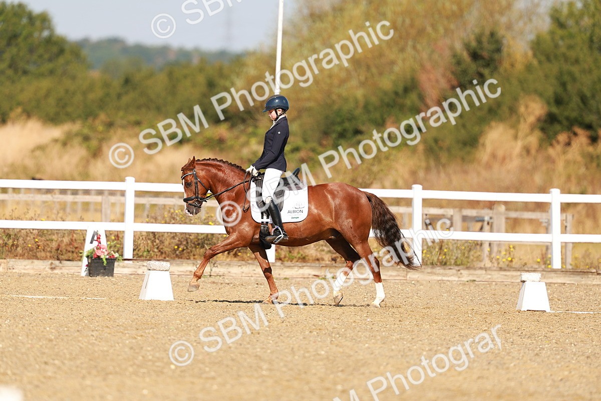 SBM_016820 - Class 9 - N5 Bronze 9.30.10.19