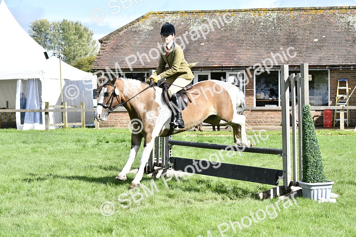 SBM_45681 - S33 - Working Hunter Pony