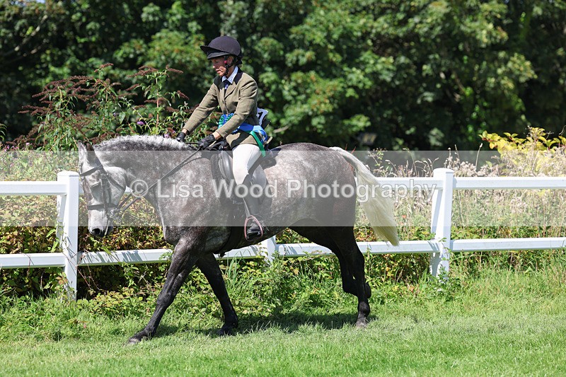 3E7A9246 - Working Hunter Championship