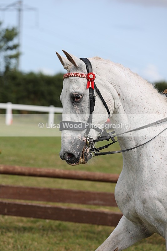 JPP_1414 - Class 17: Cornish Combination Open
