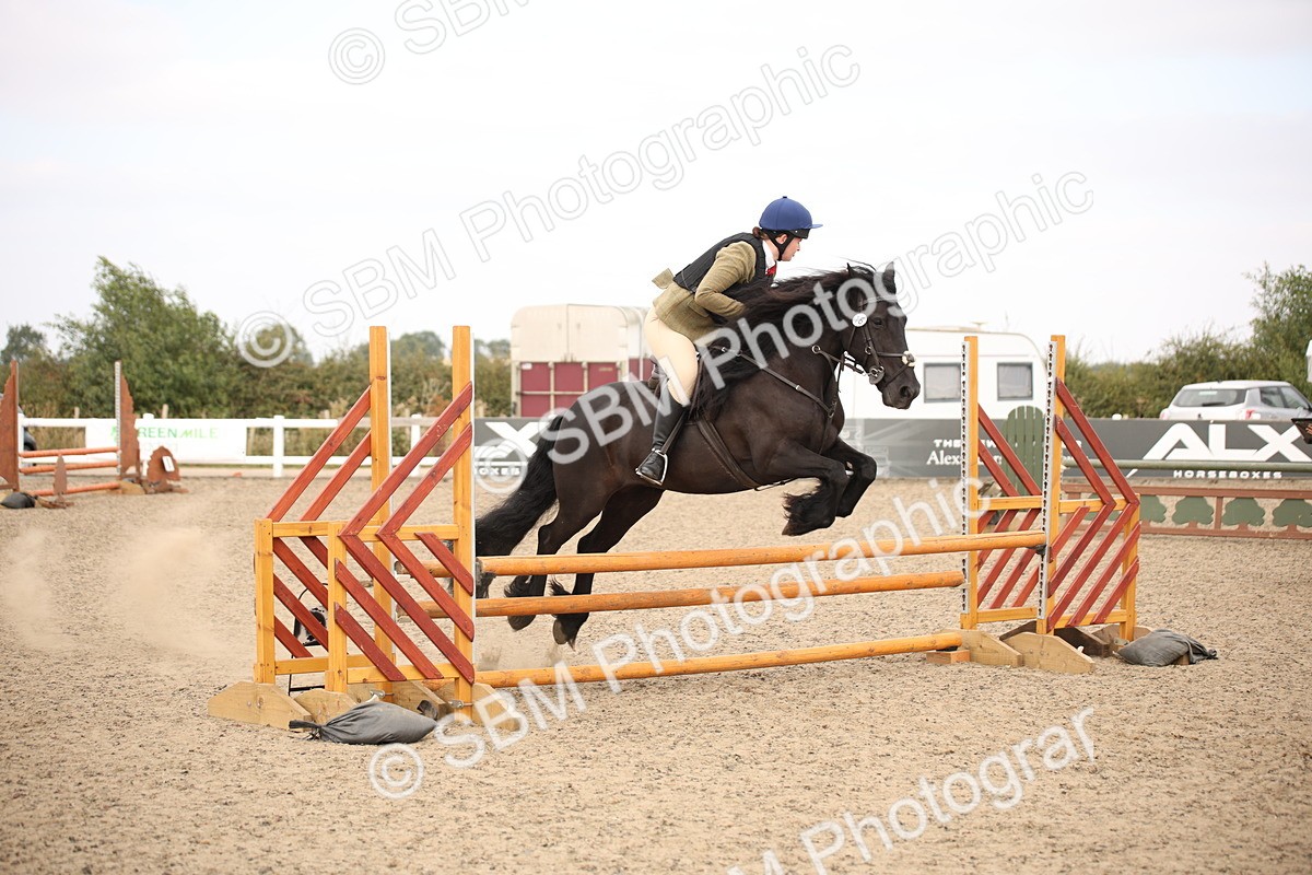 SBM_16191 - Class 409a - Working Veteran 80cm (15-19)