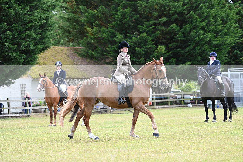 WJ7_9314 - Class 8 Ridden Veterans