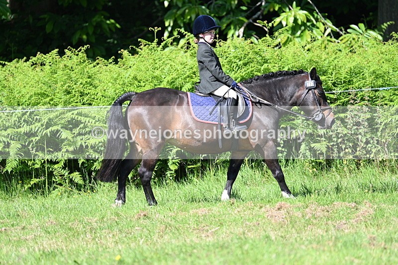 WJ7_0688 - Class 8 First Rally Pony