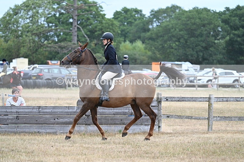 WJ7_0818 - Class 7 Riding Club Show Horse