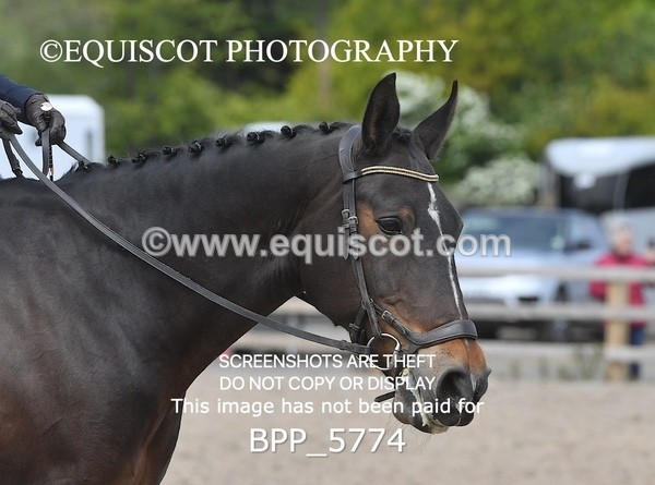 BPP_5774 - 25 V HAMILTON