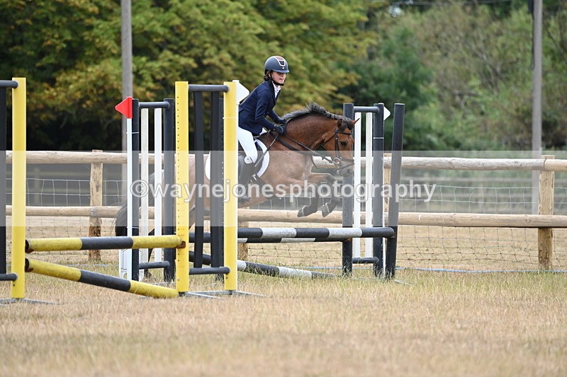 WJ6_0347 - Class 13 Novice Jumping 60cm