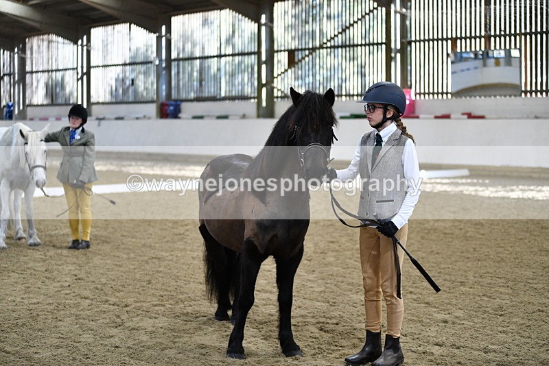 WJ5_3999 - Class 2 Best Condition In hand